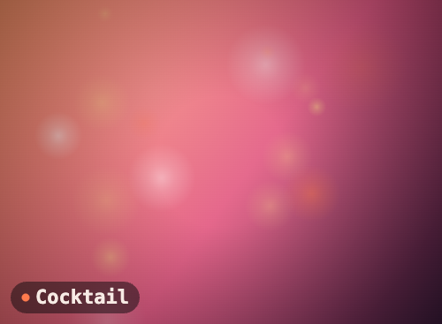 Accueil cocktail
